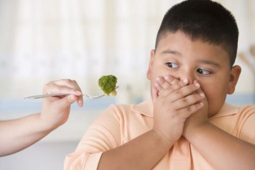 Làm thế nào để kiềm chế cơn thèm ăn cho trẻ béo phì?